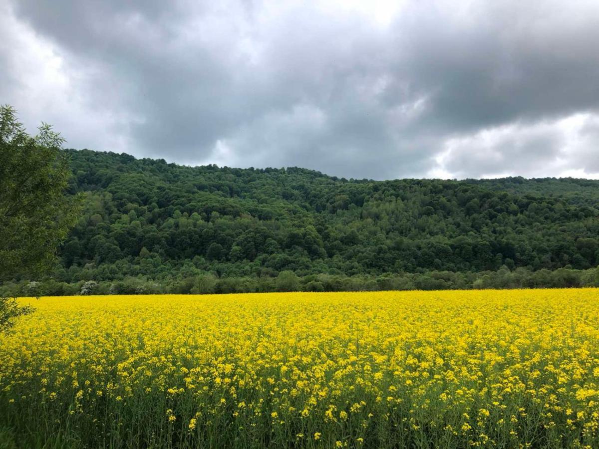 Апартаменти Олівія Skhidnytsia エクステリア 写真