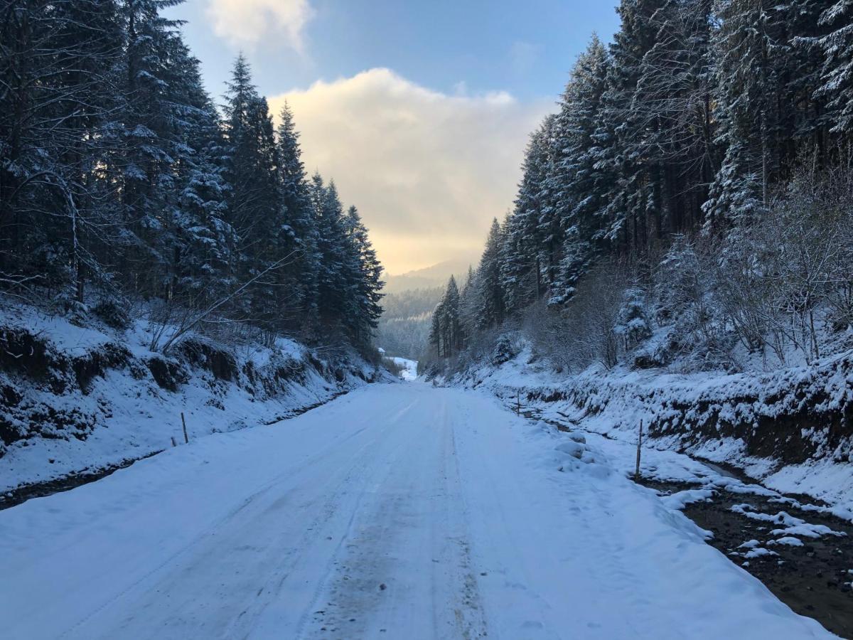 Апартаменти Олівія Skhidnytsia エクステリア 写真